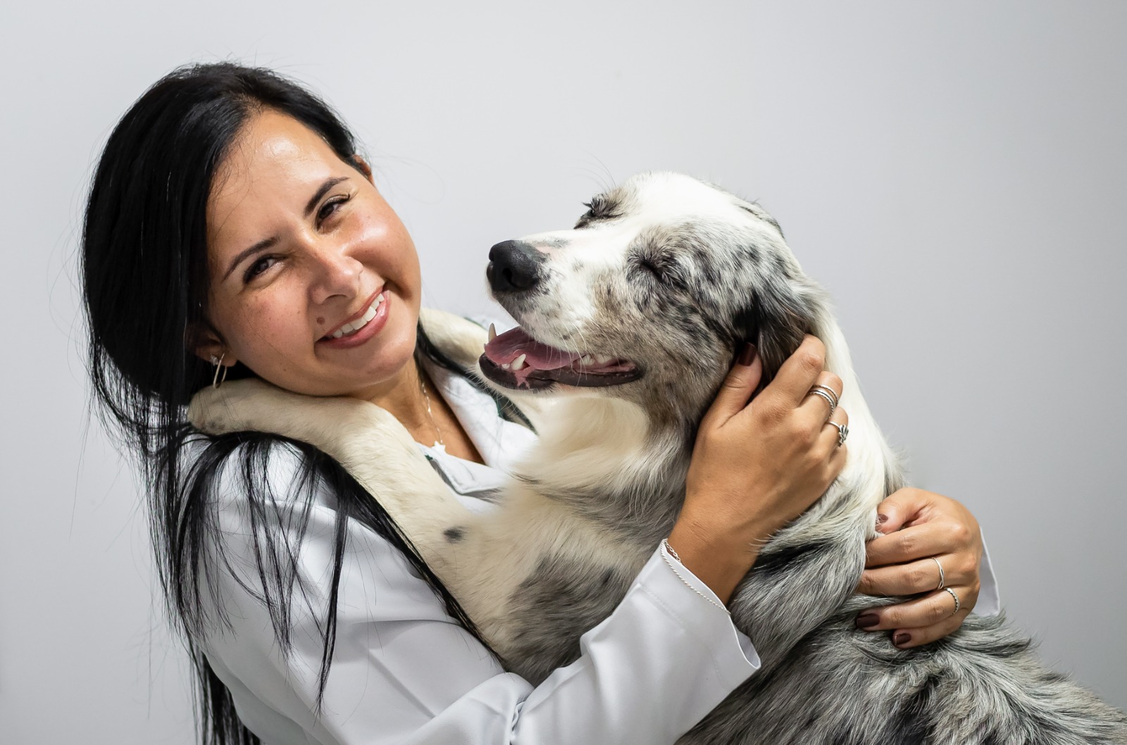 Mês do cão idoso: veterinária dá dicas para melhorar a vida de animais em idade avançada