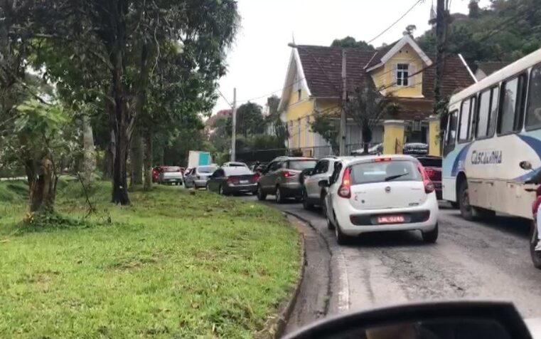 Interdição da Piabanha nesta semana retoma problemática das árvores em Petrópolis