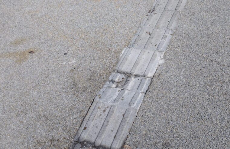 Piso do jardim do Palácio de Cristal continuam com problemas