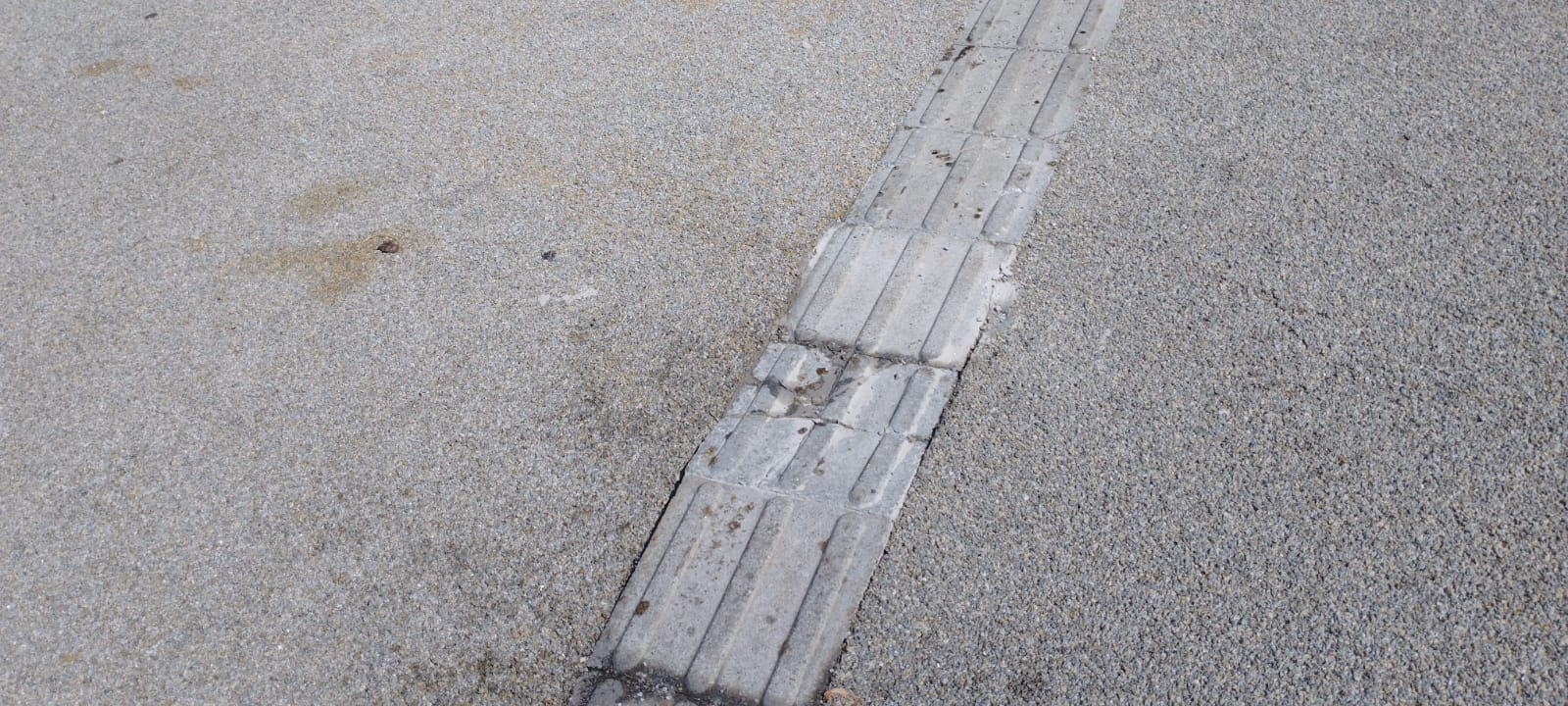 Piso do jardim do Palácio de Cristal continuam com problemas