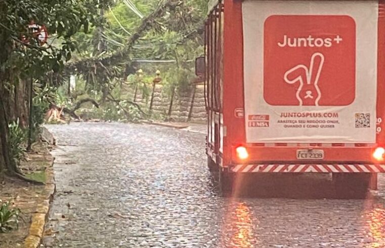 Queda de árvore interdita trecho da Avenida Piabanha em Petrópolis
