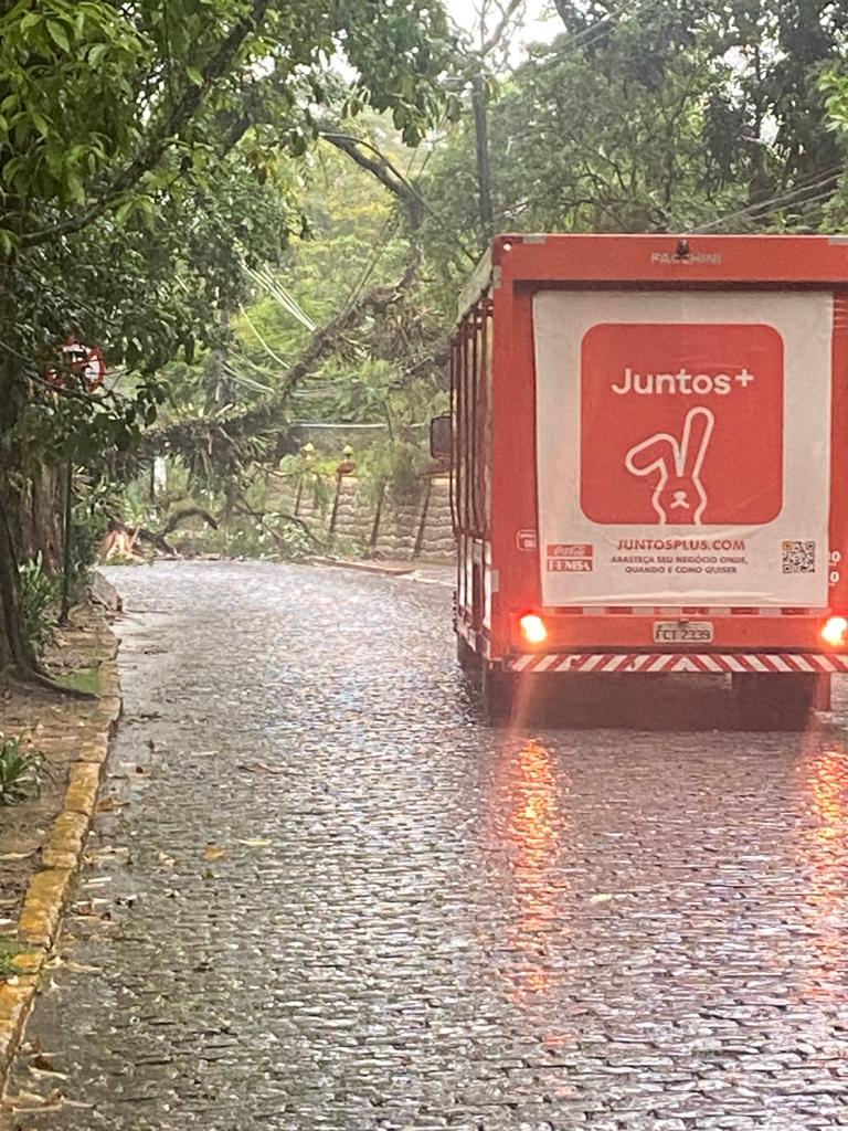 Queda de árvore interdita trecho da Avenida Piabanha em Petrópolis