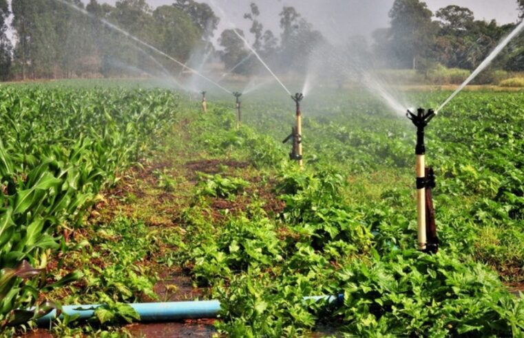 Polo de Agricultura Irrigada no Espírito Santo tem mais uma etapa finalizada