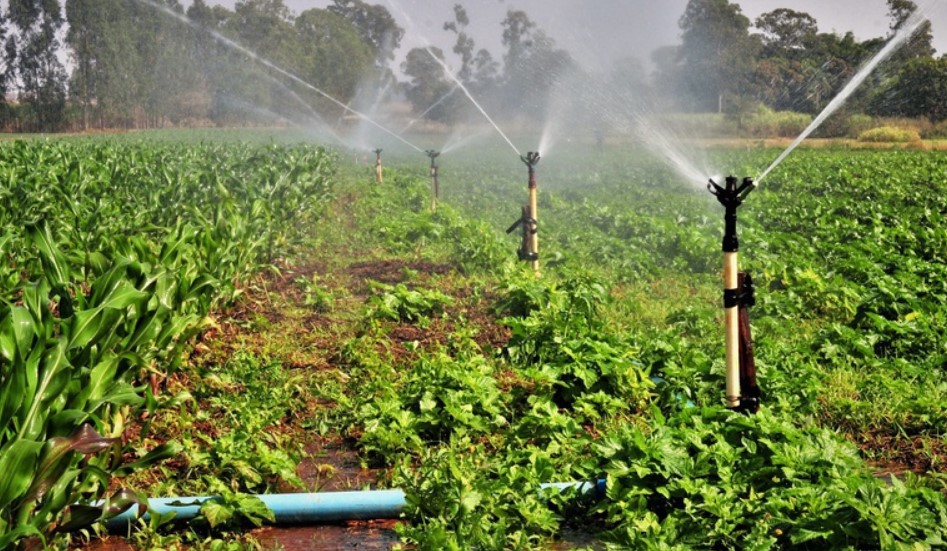 Polo de Agricultura Irrigada no Espírito Santo tem mais uma etapa finalizada