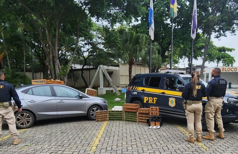 PRF resgata mais de 200 aves silvestres sendo transportadas ilegalmente