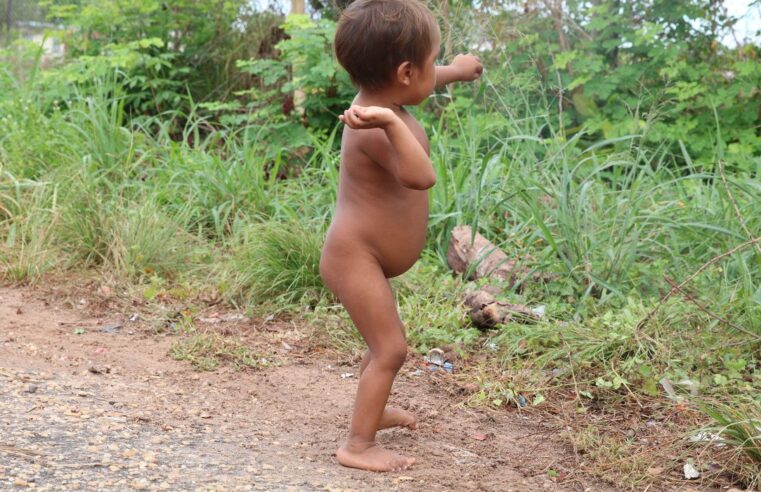 PF investiga desvios de medicamentos destinados aos Yanomami