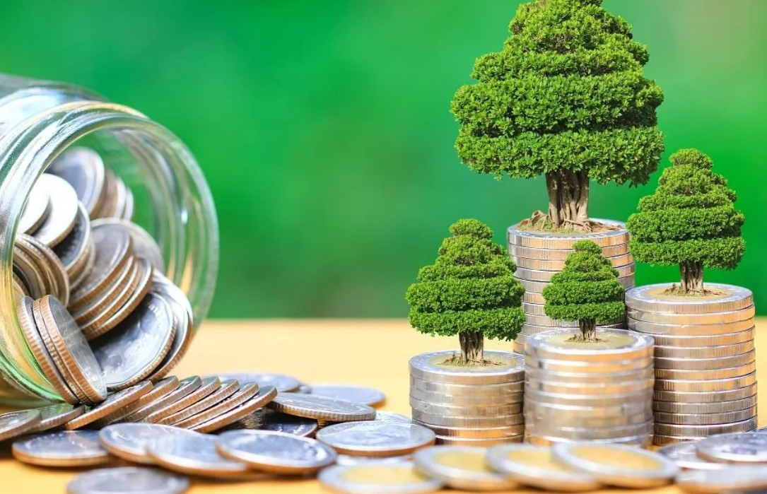 Meio ambiente receberá até 60% dos recursos de títulos verdes