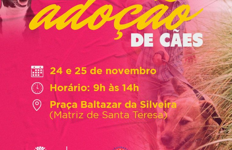 COPBEA realiza mais uma edição da feira de cães nesta sexta e no sábado, na Praça Santa Teresa