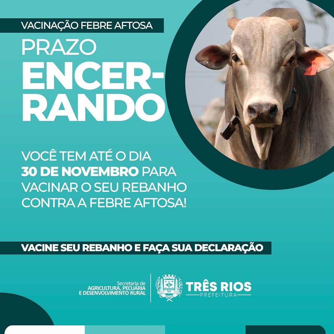 Prazo para compra de vacinas e segunda etapa da campanha de vacinação contra a Febre Aftosa termina na próxima quinta-feira