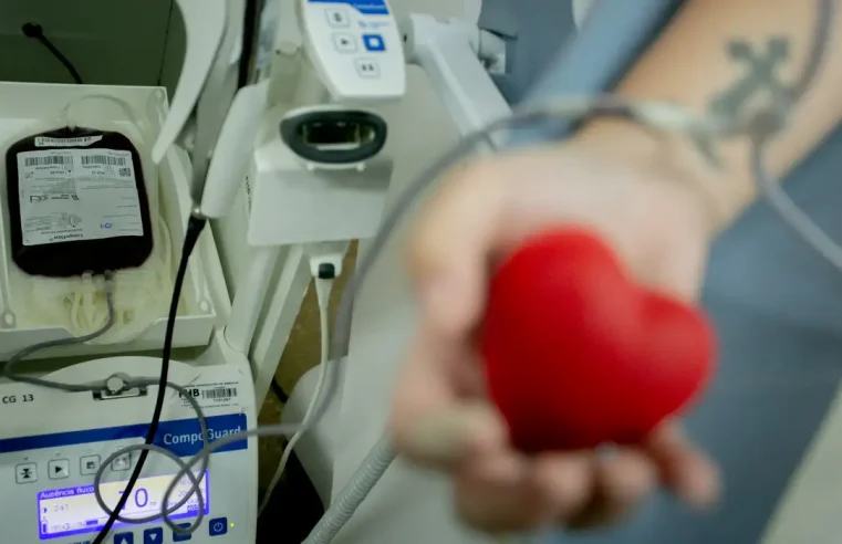 App que incentiva doação de sangue já pode ser baixado