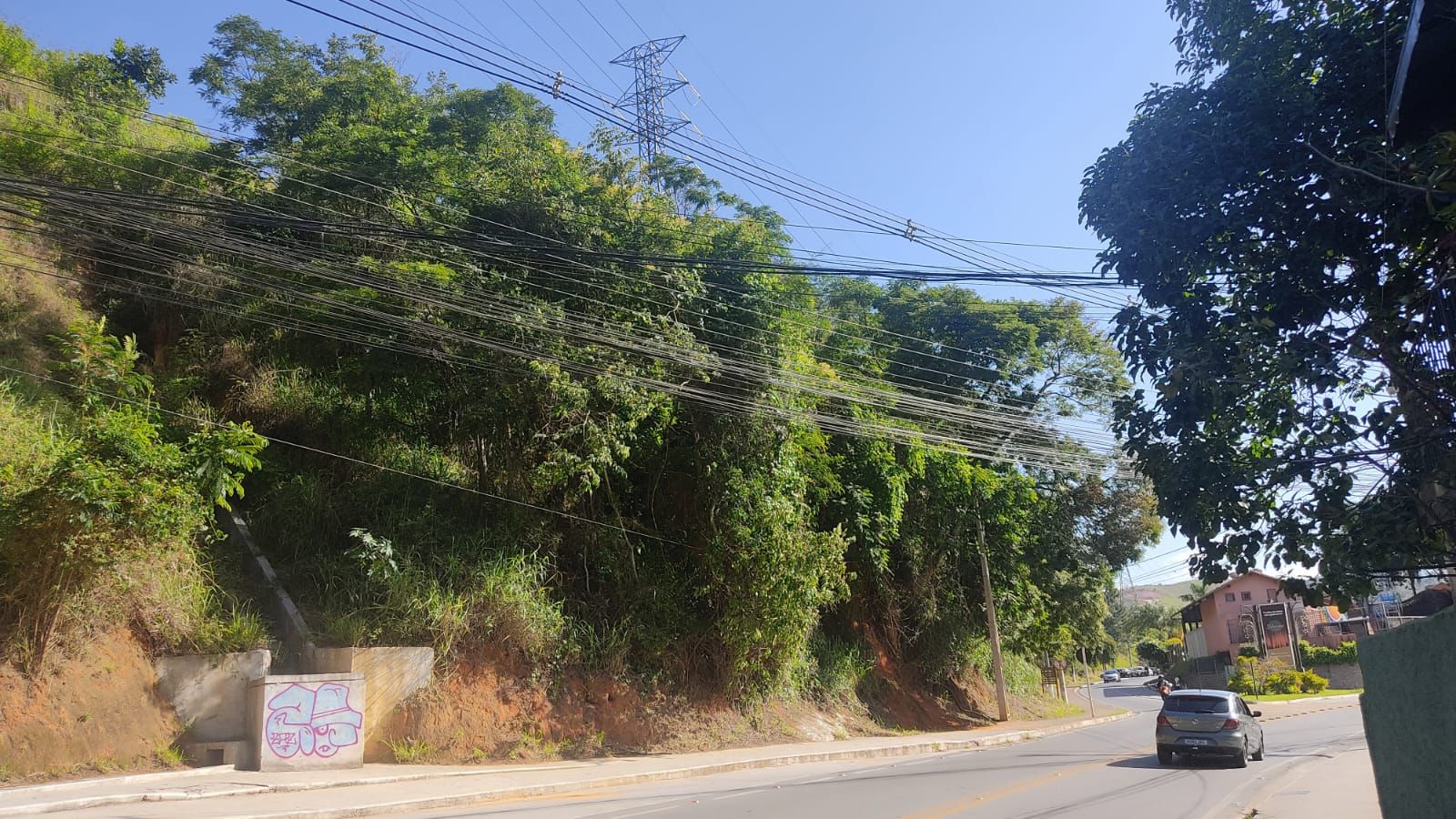 Após problemas recorrentes, Petrópolis alinha cronograma para poda de árvores
