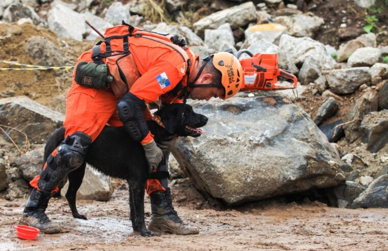 Corpo de Bombeiros RJ sedia Certificação Nacional de Cães de Busca e Resgate