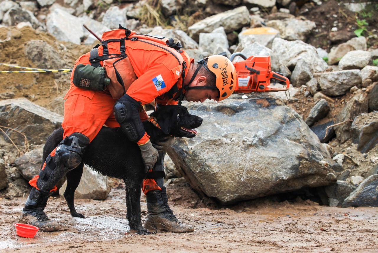Corpo de Bombeiros RJ sedia Certificação Nacional de Cães de Busca e Resgate