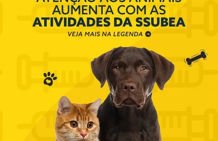 Equipe da Ssubea de Nova Friburgo fiscaliza, promove campanhas de adoção e conscientiza crianças sobre causa animal