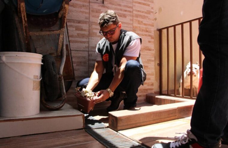 Petrópolis ainda tem focos de Dengue