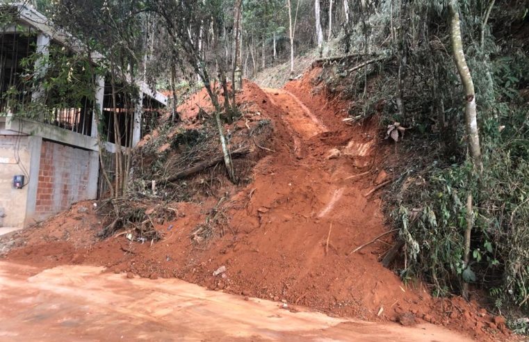 Petrópolis é a sexta cidade do estado com o maior número de denúncias ao Linha Verde: desmatamento florestal é o crime com o maior número de ocorrências no ano