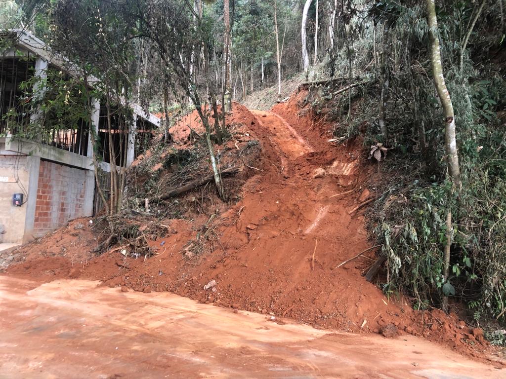 Petrópolis é a sexta cidade do estado com o maior número de denúncias ao Linha Verde: desmatamento florestal é o crime com o maior número de ocorrências no ano