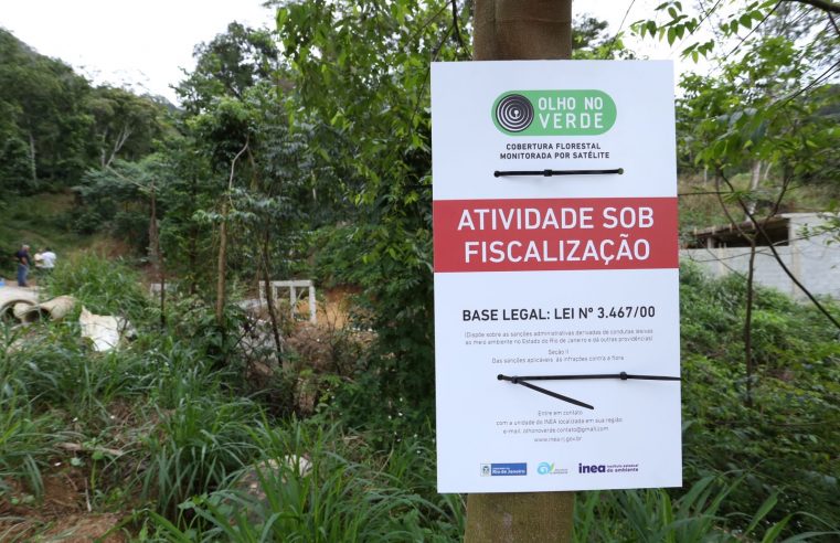 Desmatamento da Mata Atlântica reduz 66% no Rio de Janeiro em 2023