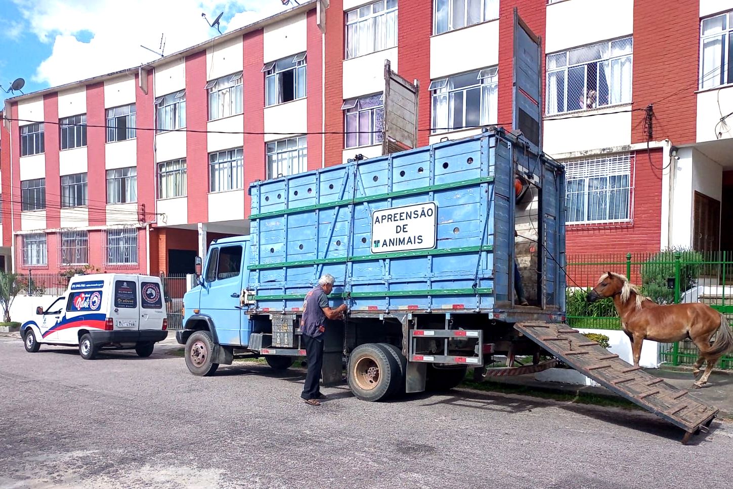 Equipe reforça a fiscalização de animais de grande porte soltos em via pública em Teresópolis