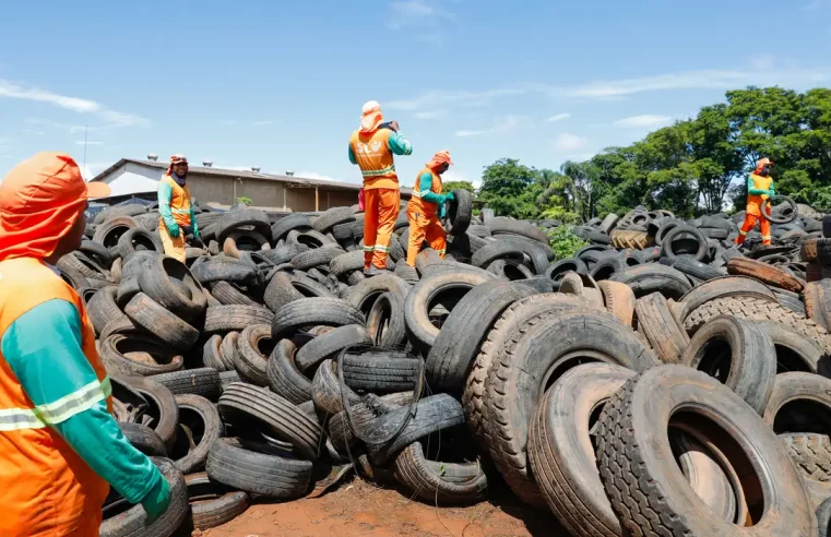 Brasil pode registrar até 4,2 milhões de casos de dengue em 2024