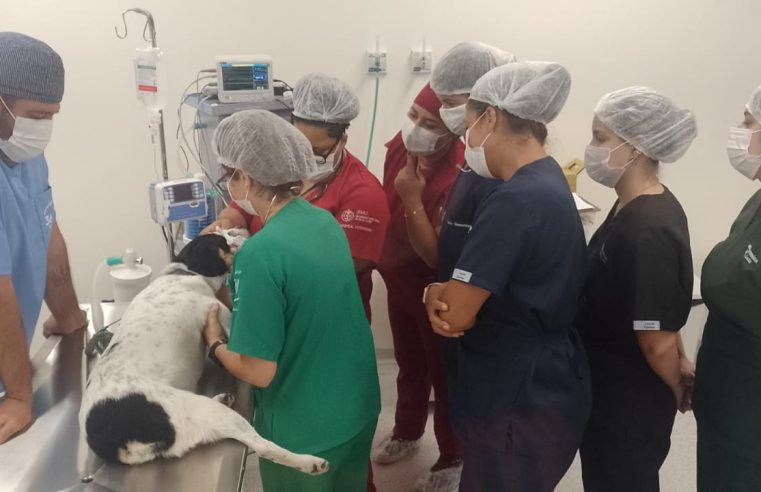 Clínica-escola da Estácio Petrópolis será aberta para atendimentos nesta segunda-feira