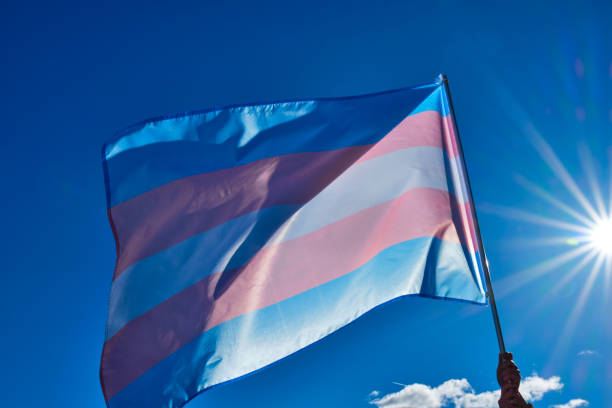 Dia da Visibilidade Trans: Reconhecimento e Importância para a Comunidade LGBTQIA+