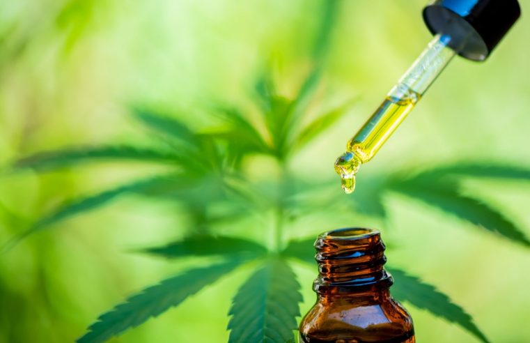 Cannabis medicinal é alternativa para tratamento de náuseas em pacientes oncológicos