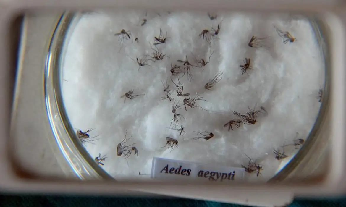Secretaria de Saúde do Estado aponta que Três Rios concentra o maior volume de casos de dengue da região