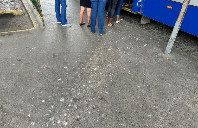 Vereador volta a fiscalizar e cobrar reforma dos Terminais Corrêas e Itaipava