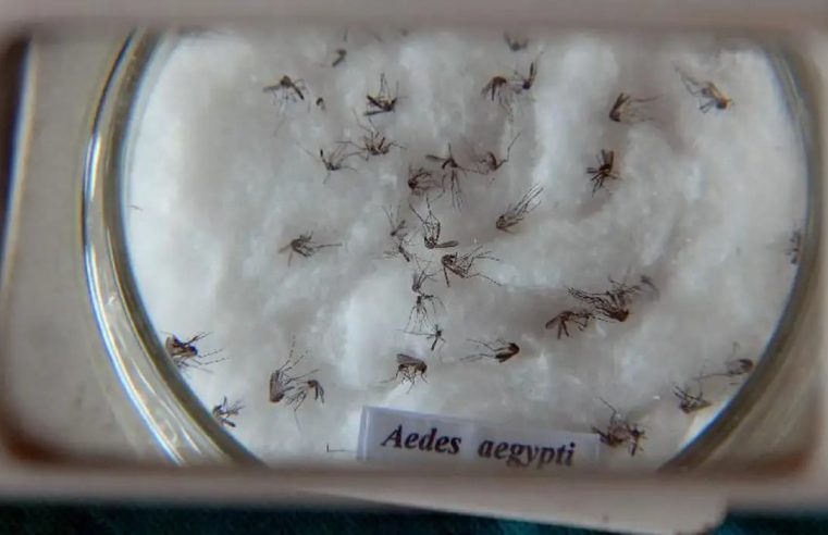 Secretaria de Saúde do Estado aponta que Três Rios concentra o maior volume de casos de dengue da região