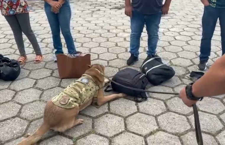 PF prende homem que transportava 4kg de cocaína, na Serra das Araras/RJ