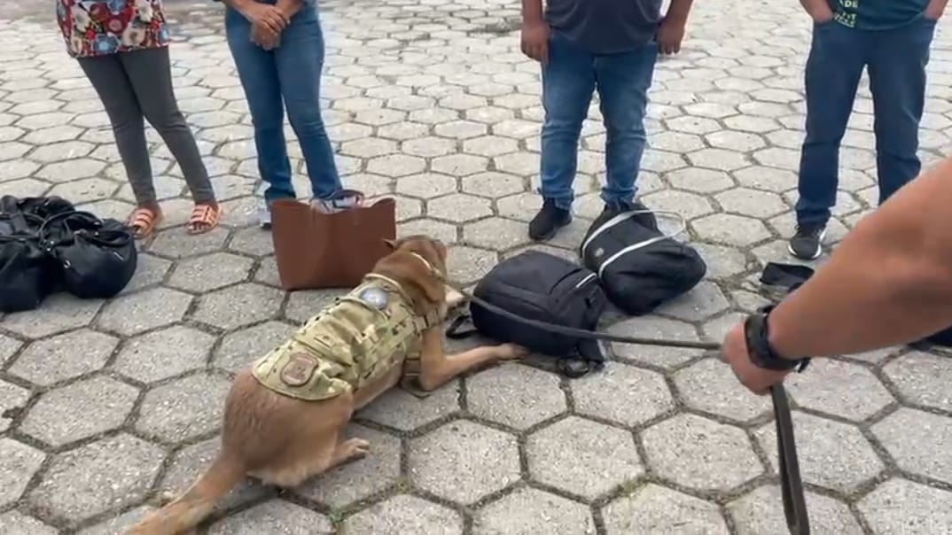 PF prende homem que transportava 4kg de cocaína, na Serra das Araras/RJ