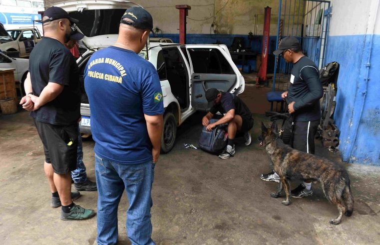 Curso de condutores de cães reúne participantes das guardas municipais de  Barra Mansa e de Cardoso Moreira em Teresópolis