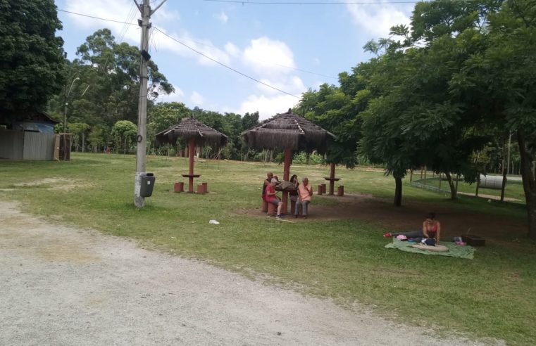 Parque Municipal em Itaipava ganha área de recreação para cães, banheiros reformados, novo sistema de drenagem e reflorestamento