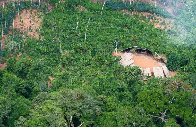 Desmatamento em áreas protegidas da Amazônia cai 73% em 2023