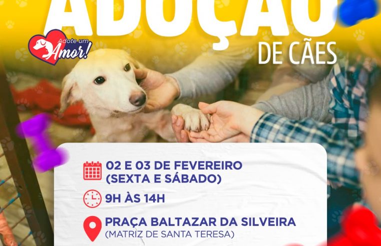 ‘Adote um amor’: feira de adoção de cães acontece neste final de semana, na Praça Santa Teresa