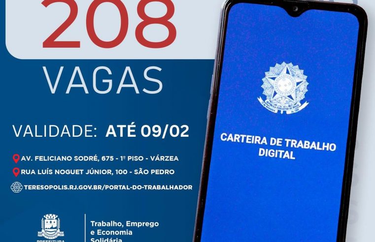 “Emprega Terê”: Sine divulga 208 vagas de emprego