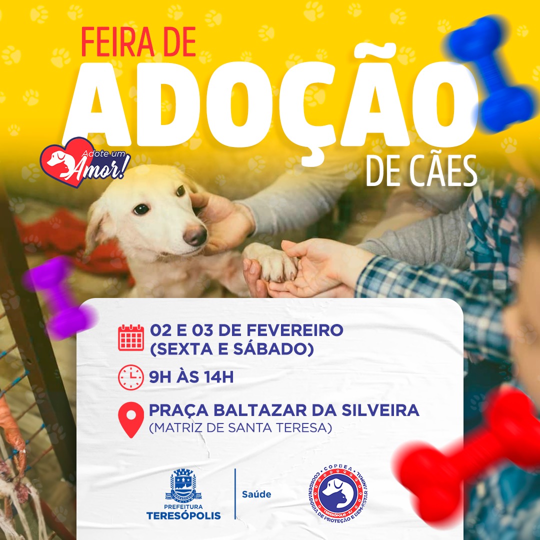 ‘Adote um amor’: feira de adoção de cães acontece neste final de semana, na Praça Santa Teresa