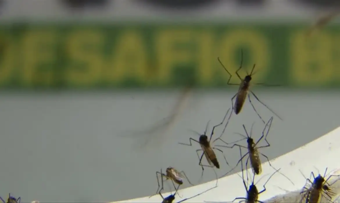 Com epidemia, Rio tem recorde de internações por dengue em janeiro