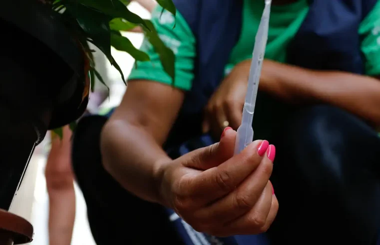 Distribuição da vacina contra a dengue começa na próxima semana