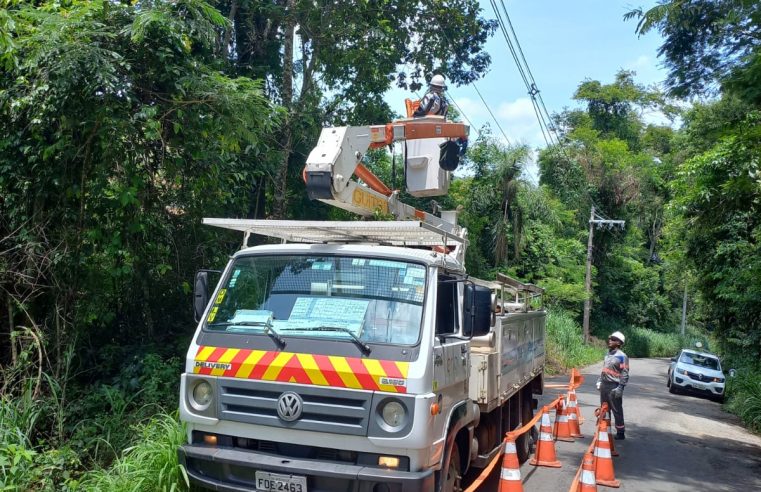 ENEL Rio programa 7,2 mil podas preventivas em Teresópolis