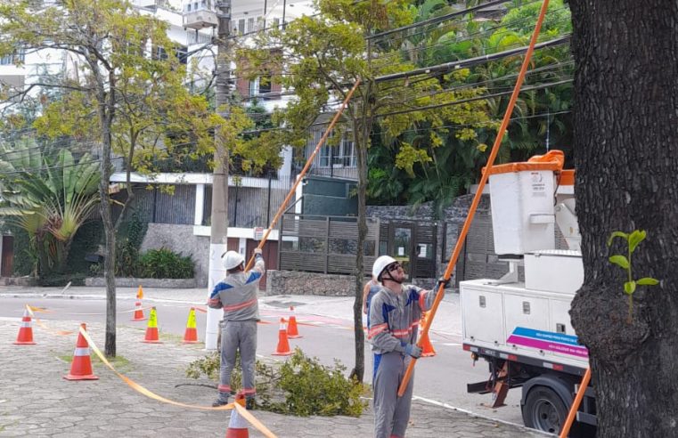 Enel Rio intensifica podas preventivas na Região Serrana e atua em parceria com condomínios