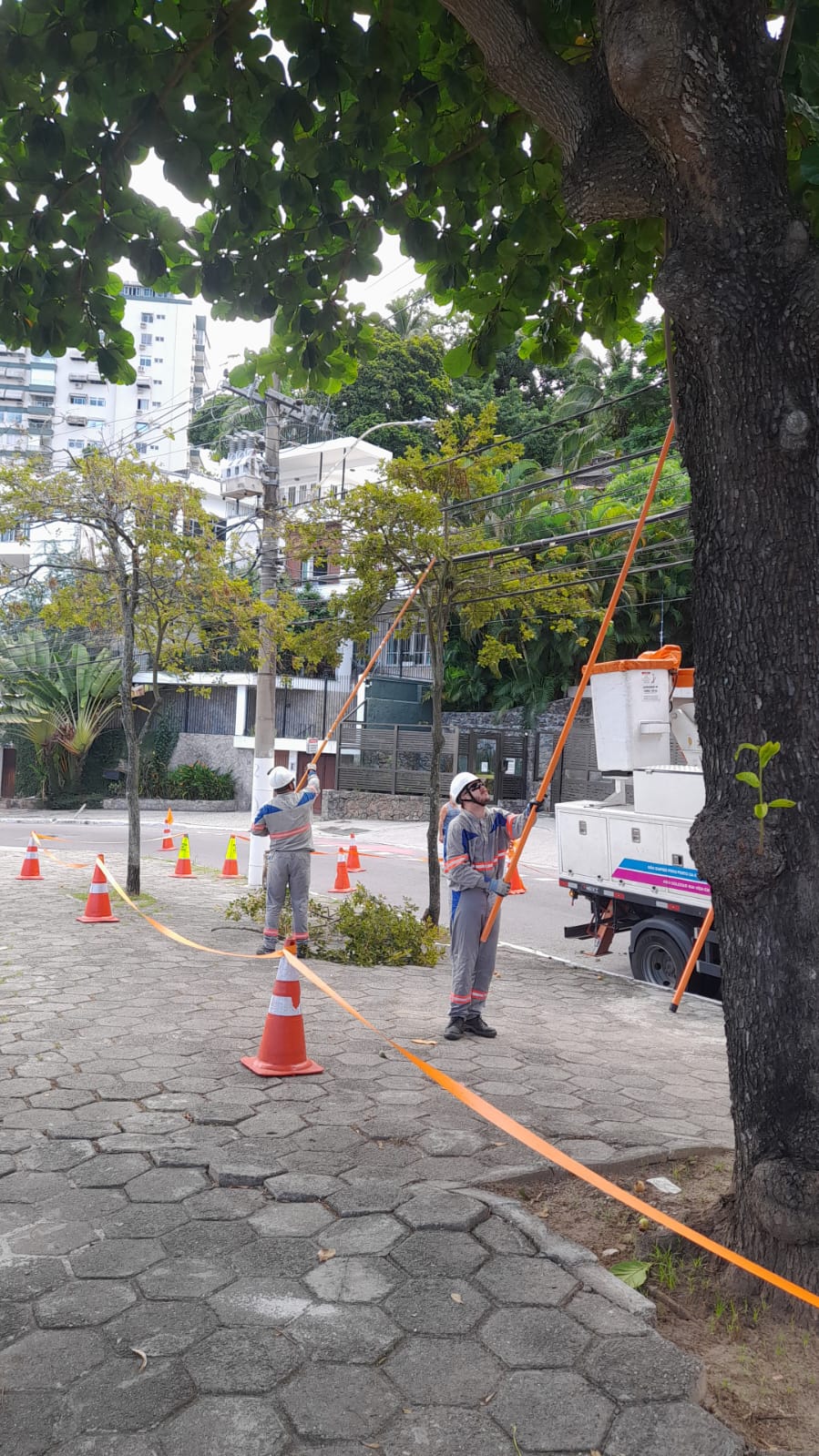 Enel Rio intensifica podas preventivas na Região Serrana e atua em parceria com condomínios