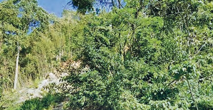 População expressa insatisfação com programa “Nosso Bairro” da Prefeitura de Petrópolis