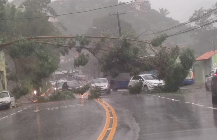 Boletim de ocorrências: Defesa Civil de Petrópolis contabiliza 06 registros de ocorrências em função da chuva desta quinta-feira