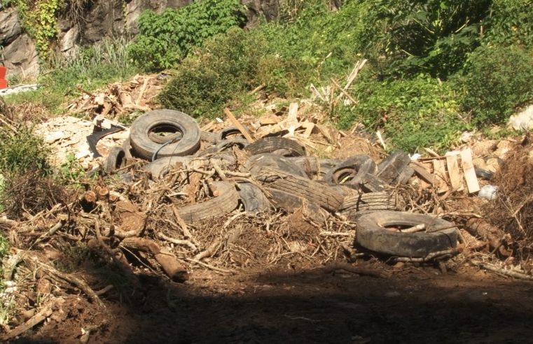 Em meio à crise de dengue, Prefeitura de Areal realiza descarte irregular de resíduos em terreno na Posse, em Petrópolis