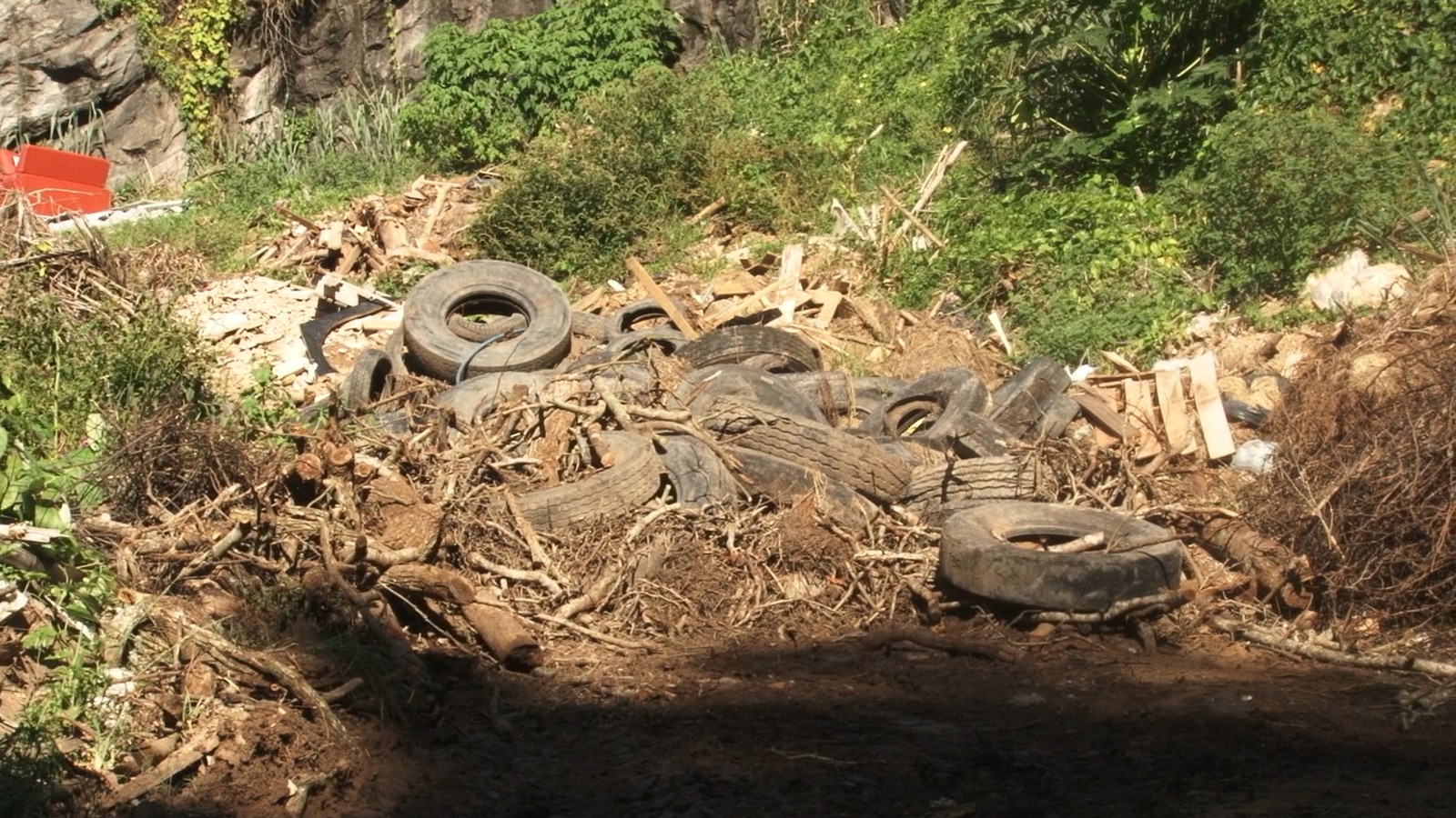 Em meio à crise de dengue, Prefeitura de Areal realiza descarte irregular de resíduos em terreno na Posse, em Petrópolis