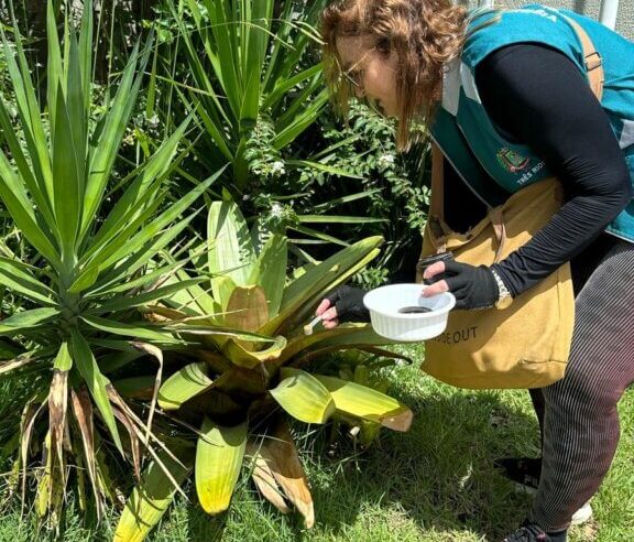 Estado confirma primeira morte por dengue em Três Rios