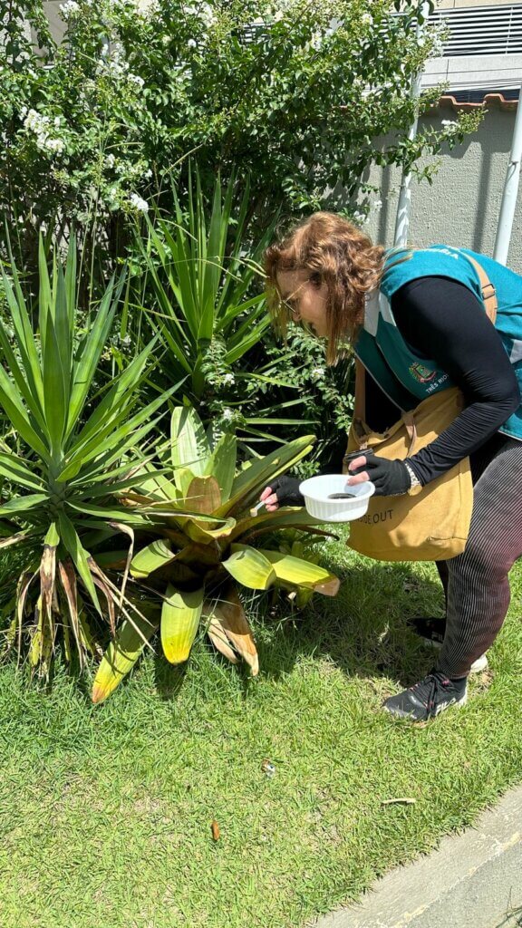 Estado confirma primeira morte por dengue em Três Rios