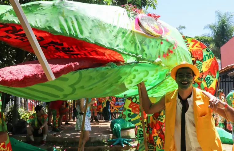 Brasilienses ocupam as ruas da capital no bloco Calango Careta